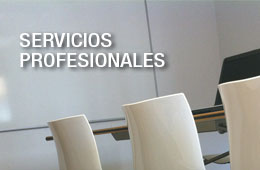 Servicios de asesoramiento, consultoría y formación.